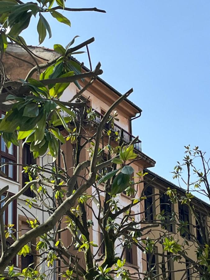 Apartamento Wamba - La Catedral Oviedo Ngoại thất bức ảnh